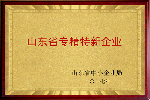 山東省專(zhuān)精特新企業(yè)